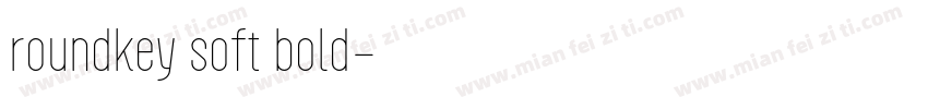 roundkey soft bold字体转换